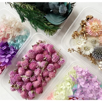 1 Kutija Prirodni Pravi Suhi Cvijet Sušene Biljke DIY Epoksidna Smola, Privjesak Ogrlica Nakit, kao što su Aromaterapija Izrada Svijeća Zanat Pribor
