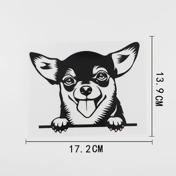 Crno/Srebrno Auto Oznaka Chihuahua Выглядывающая Pas Vinil Naljepnica Za auto Styling Decoratio 17,2 cm X 13,9 cm