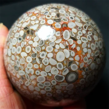 Prirodna Morska jaspis ekološki koralja fish eye kristal kvarc energetska sfera reiki iscjeljivanje