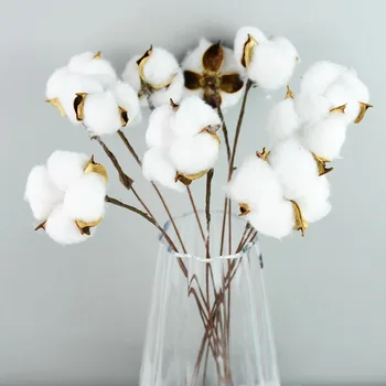 Prirodno Osušeni Cvjetovi Bijeli Pamuk Home Dekorativni Umjetni Cvijet Branch Svadbeni Buket Dekor Lažni Bijeli Cvijet
