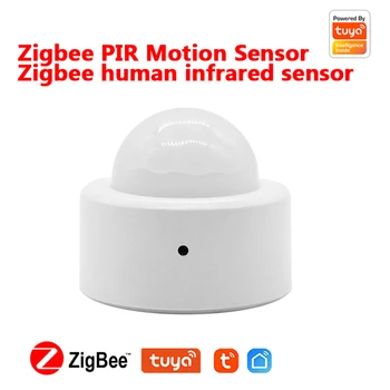 Tuya Zigbee3.0 Profesionalni Senzor Ljudskog Tijela Bežični Inteligentni Senzor Pokreta Tijela Mini PIR detektor Pokreta Sa Pristupnika